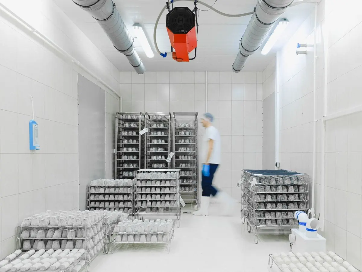 Cámara frigorífica de una planta de alimentos con ductos, el equipo de frío en el techo y estanterías con producto